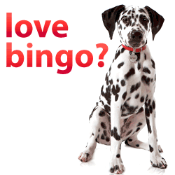 Bingo.com