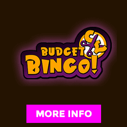 Budget Bingo