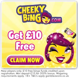 Cheeky Bingo